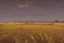 Placeholder: road wheat field byphil hale