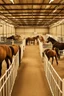 Placeholder: Exhibitor show hall with horses in a horse stable