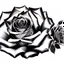 Placeholder: A rose, black & white outline art