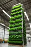 Placeholder: a vertical farm inside a warehouse. Show 12 vertical units The setting should be futuristic and sustainable.