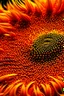 Placeholder: Extreme close up of a orange flame sunflower; Pointillism