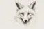 Placeholder: faint sketch of a fox’s head
