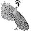 Placeholder: white, A peacock decoration, line art, white background, outline, with images neatly contained within the background, just black and white color, full body, no color. Looking front , front view, 8k