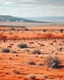 Placeholder: Light rosy orange colored shrublands near a Karoo with animals painted by Leonardo da Vinci