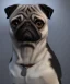 Placeholder: pug dog as james bond