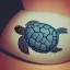 Placeholder: turtle and flower and mountain