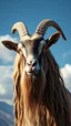 Placeholder: A goat with human look face and long hair and beard looks like an ancient Sumerian gods