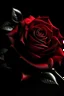 Placeholder: create please picture of dark red rose