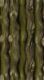 Placeholder: seamless texture suggestive rough texture of an elm tree trunk flowing vertical