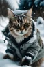 Placeholder: cat in snow with jacket on