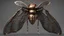 Placeholder: Expressively detailed and intricate 3d rendering of a hyperrealistic “insect wings”: shinning metal, front view, full anatomy, symetric, 4K, cosmic fractals, dystopian, dendritic, stylized fantasy art by Kris Kuksi, artstation: award-winning: professional portrait: atmospheric: commanding: fantastical: clarity: 16k: ultra quality: striking: brilliance: stunning colors: masterfully crafted.