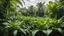 Placeholder: London overgrown with a jungle of banana trees, award winning photograph