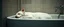 Placeholder: albino hot dog sleeping in bathroom