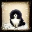 Placeholder: black puff ball of fluff in the snow vintage