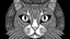 Placeholder: Cat's head, cartoon style, black and white, on LSD