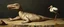 Placeholder: master oil painting by Rembrandt, creature from before the dinosaur alien seal gremlin munchin on a stork