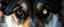 Placeholder: eyes of hound with the moon as the pupil