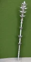 Placeholder: A large silver and Gold spear weapon covered in rose's and thorns, realistic, fantasy,