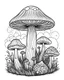 Placeholder: mushroom world minimalistic landscape. line art, background, vector, svg, coloring book page style, black outline on white background