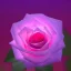 Placeholder: transparent multicolor crystal rose, rose garden, under bioluminescent clouds, mist, detail