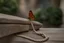 Placeholder: a butterfly trying to pull up a big stone on a staircase with a rope