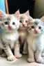 Placeholder: Soft color kittens