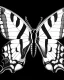 Placeholder: Black and white Butterfly clip art