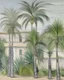 Placeholder: A light gray oasis with tall palm trees painted by Maurice Utrillo