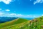 Placeholder: beautiful Green hills covered with flowers colorfull ,blue sky pretty clouds ,some strange flowers with love sumbol ,wonderfull mountains at distance