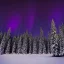 Placeholder: high-quality, fine-detailed winter forest surrounding reflective lake with northern lights in sky, intricate, defined snow-covered trees, a still, black, reflective lake, irridescent, radiant, colorful aurora borealis in night sky, 8k resolution, photorealistic, 8k resolution, ultrahd, photgraphy, Arild Heitmann, David Lane, Troy Casswell