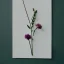 Placeholder: tiny digital illustration of single long stem pressed flower, delicate arrangement, beautiful composition, etsy, aesthetic layout, plain solid white background