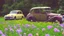 Placeholder: A mysterious place, a classic car, two women, among flowers