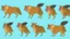 Placeholder: Cute chibi-style hyena dog, chasing its own tail, cartoony, colorful, exaggerated, simplified, adorable