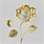 Placeholder: One rose made of golden lines pattern, white background