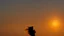 Placeholder: Silhouette of the head of a young lady with long flowing hair in a slight breeze. At sunset in Czech nature.