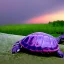 Placeholder: turtle and purple sky