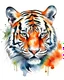 Placeholder: tiger head watercolor illustration style