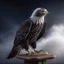 Placeholder: bald eagle on surfing board photo shoot, 8k, down-light, soft light, depth of field, photo realism, trending on art station, high detail, smoke and fog