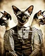 Placeholder: PROMPT: Surrealist portrait of a Oriental shorthair Siamese cat in a convicts outfit, layered multiple exposures of [POSE]. Each overlay is motion blurred and translucent. Monochrome palette, aged film grain and light scratches. A subtle glow softens the focus, evoking [MOOD]. Inspired by early analog photography experiments