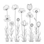 Placeholder: set of grow wind flower on the grace, SIMPLE ONE lineS art, white background, minimalis, different view, only white bakcground solid.