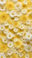 Placeholder: Fashion show onto the podium. NEW in Wardrobe. Spring Daisies on Yellow Smocked Bubble Gauze Fabric by POP