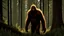 Placeholder: sasquatch in the forest