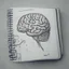Placeholder: medicine notebook brain illustration, ink on paper