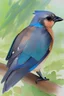 Placeholder: Watercolor painting of a stellars jay