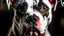 Placeholder: A close-up portrait of a white and black pit bull dog with a serious expression and red markings on its face