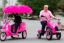 Placeholder: Photo of a single donald trump riding a tricycle while wearing a pink polo shirt with the collar up