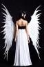 Placeholder: angel, demon, angel demon hybrid, half angel, half demon, black angel wings, white demon wings, black and white, balance, horns, armor, noble clothes, black and white armor, black and white clothes