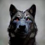 Placeholder: black alpha wolf baring teeth photorealistic