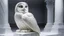 Placeholder: hyper realistic render of a gian owl carved out of white marble, sculpture is displayed inside of a big art exhibit