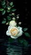 Placeholder: The image is a digital artwork that depicts a branch of tree of light black roses and leaves tangling in to a water in the river with aThe rose floats on the surface of the water, creating a wave-like effect. The background is black, which makes a branch of a tree of white roses stand out even more. Water droplets are scattered adding to the dreamy, ethereal quality of the image. The a
